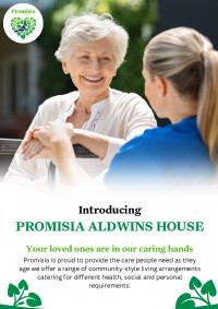 Promisia Aldwins House Introduction Brochure