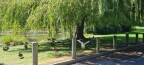 gallery image 29