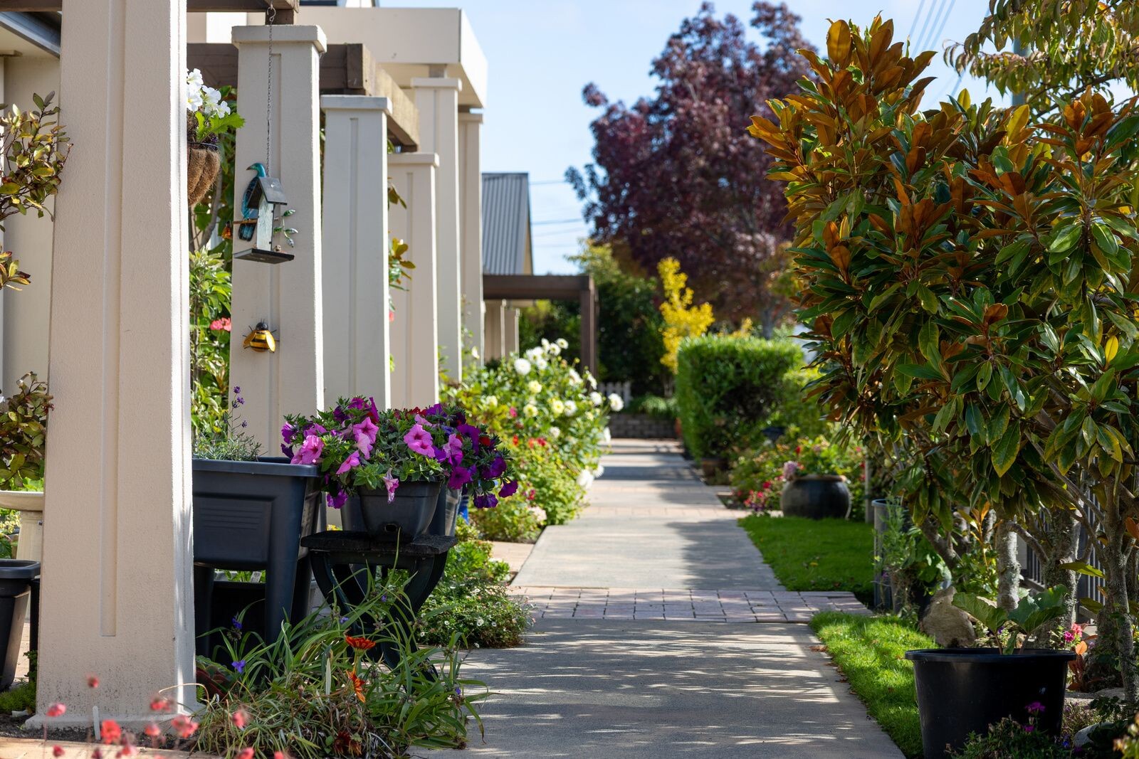 property carousel image 5