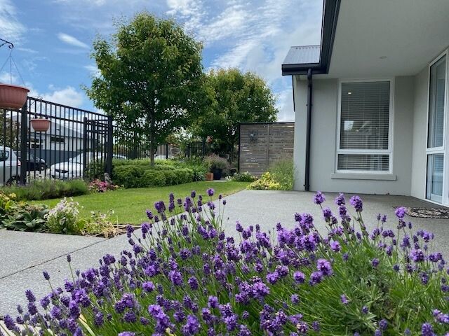 property carousel image 14