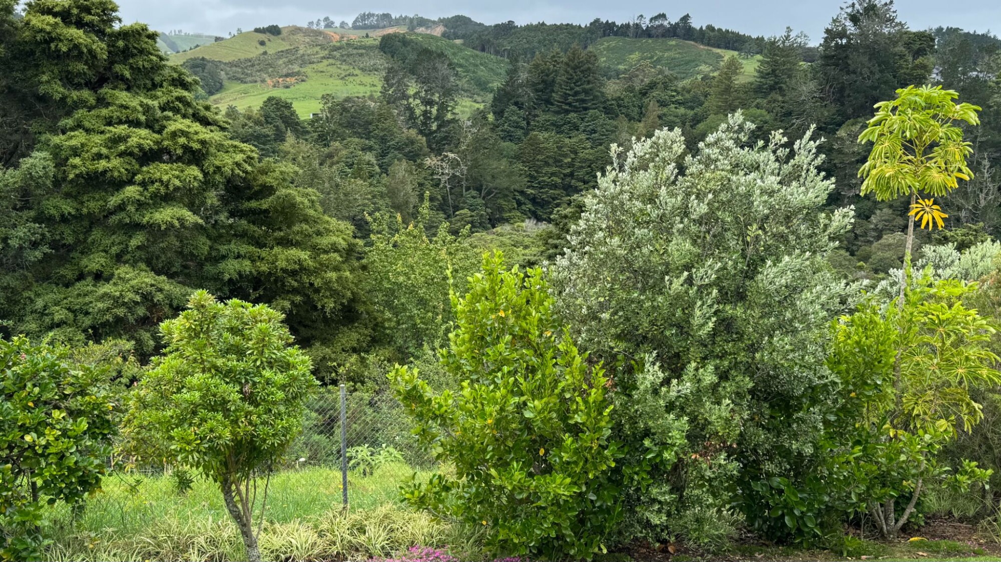 property carousel image 11