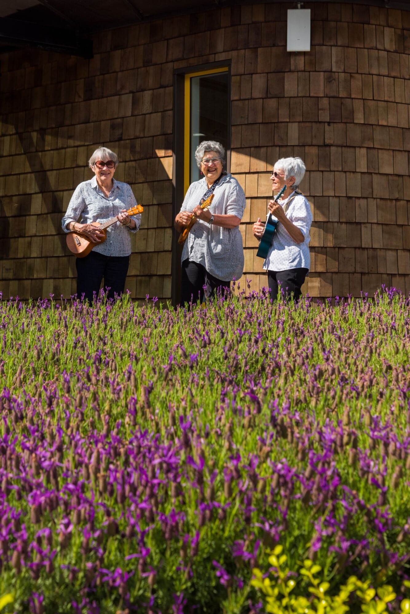 property carousel image 11