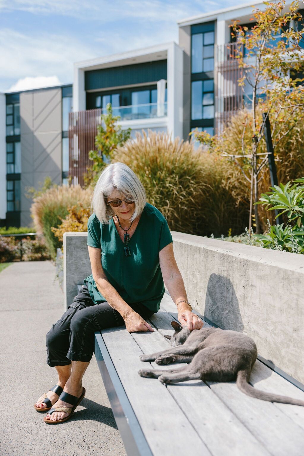 property carousel image 8