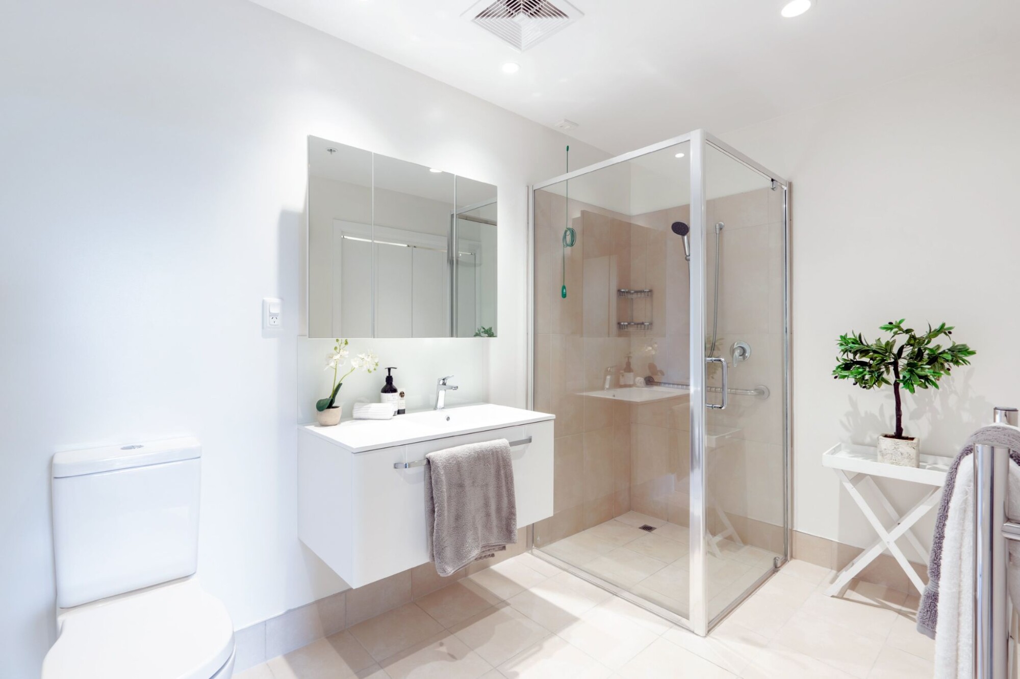 property carousel image 6