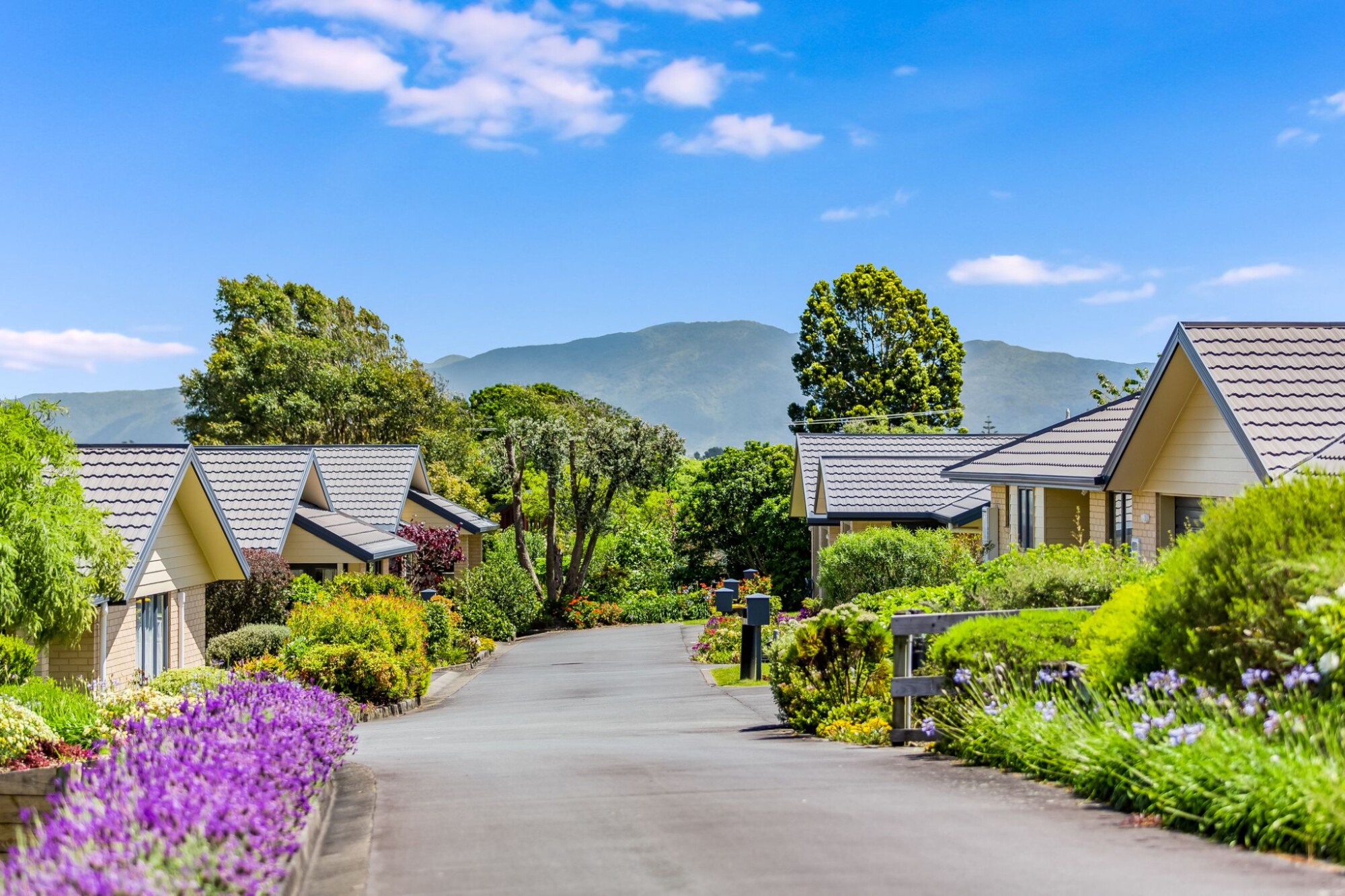 property carousel image 1