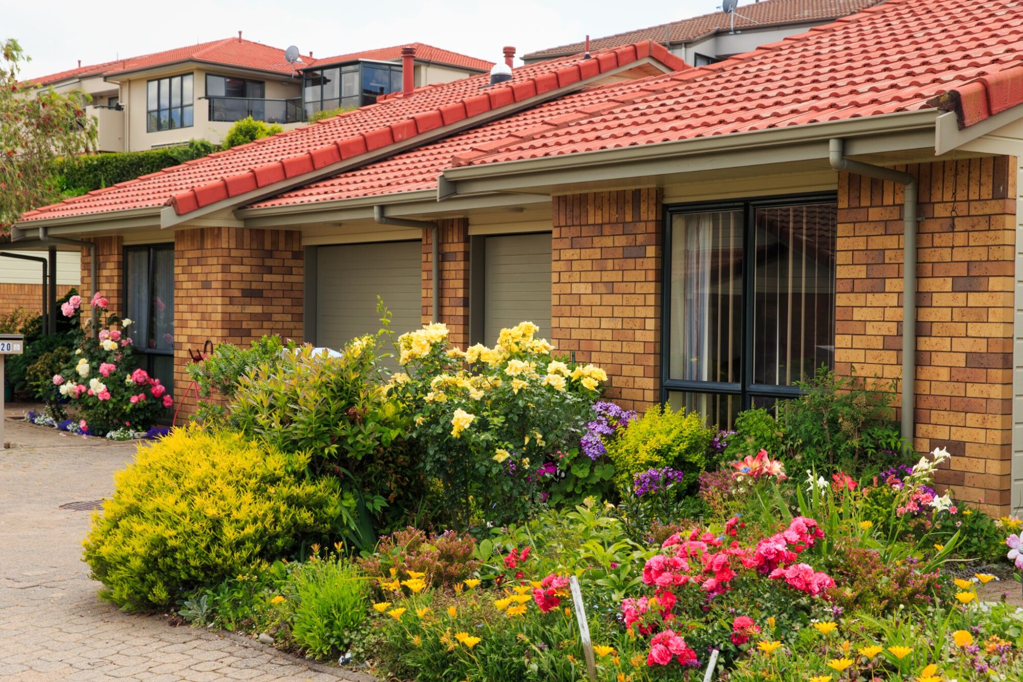 Alandale Retirement Village Hamilton Retirement Villages to Purchase retirementvillages.co.nz