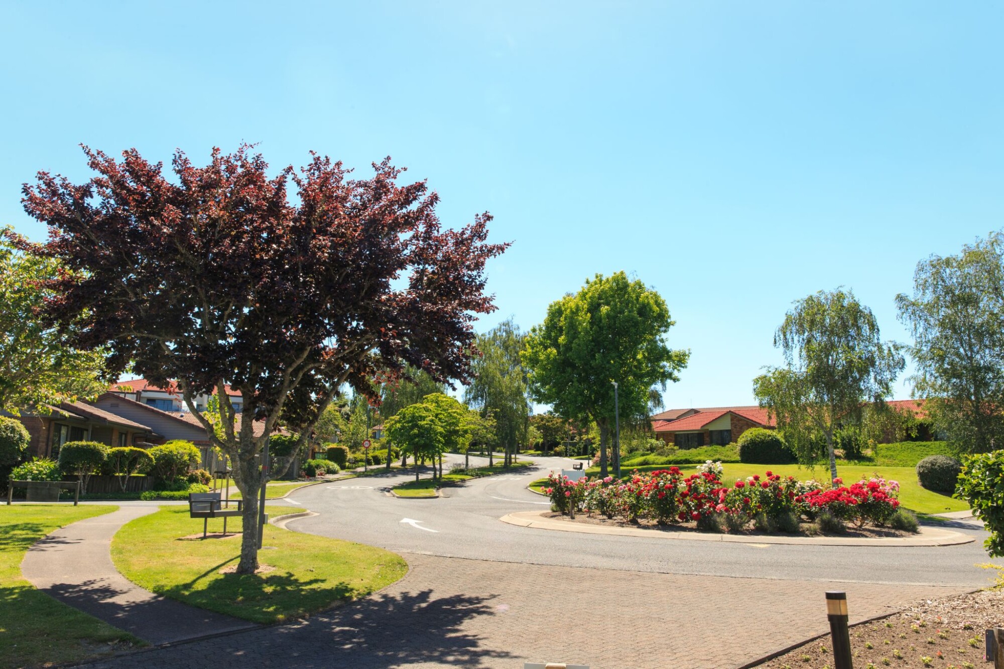 Alandale Retirement Village Hamilton Retirement Villages to