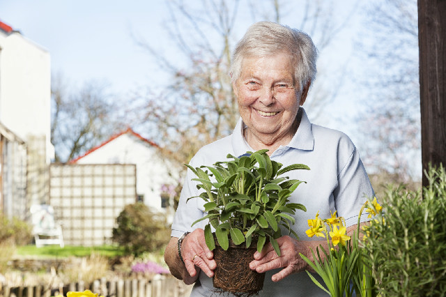 Aberleigh Rest Home And Dementia Care Dementia Care Nz Rest Home Care Resthomes And Residential Care In New Zealand Eldernet Seniors And Retirement Options Aberleigh Rest Home And Dementia Care Dementia Care Nz Rest Home Care Resthomes And Residential Care In New Zealand Eldernet Seniors And Retirement Options