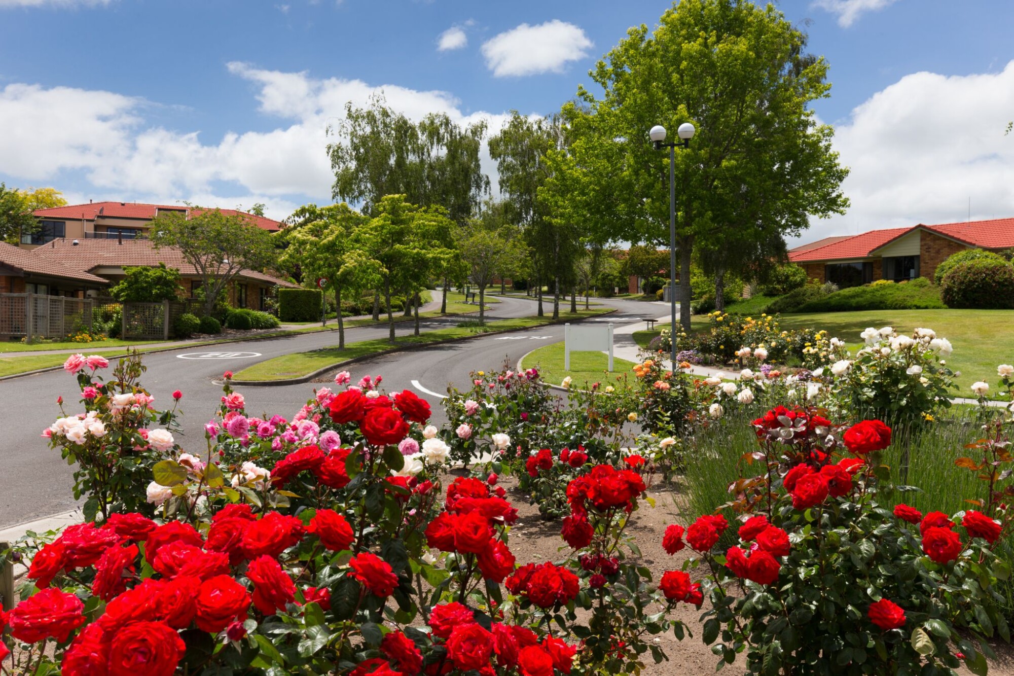 Alandale Retirement Village Hamilton Retirement Villages to