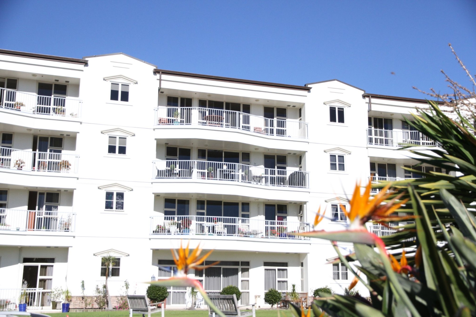 Maygrove Village Auckland , Orewa Retirement Villages to Purchase