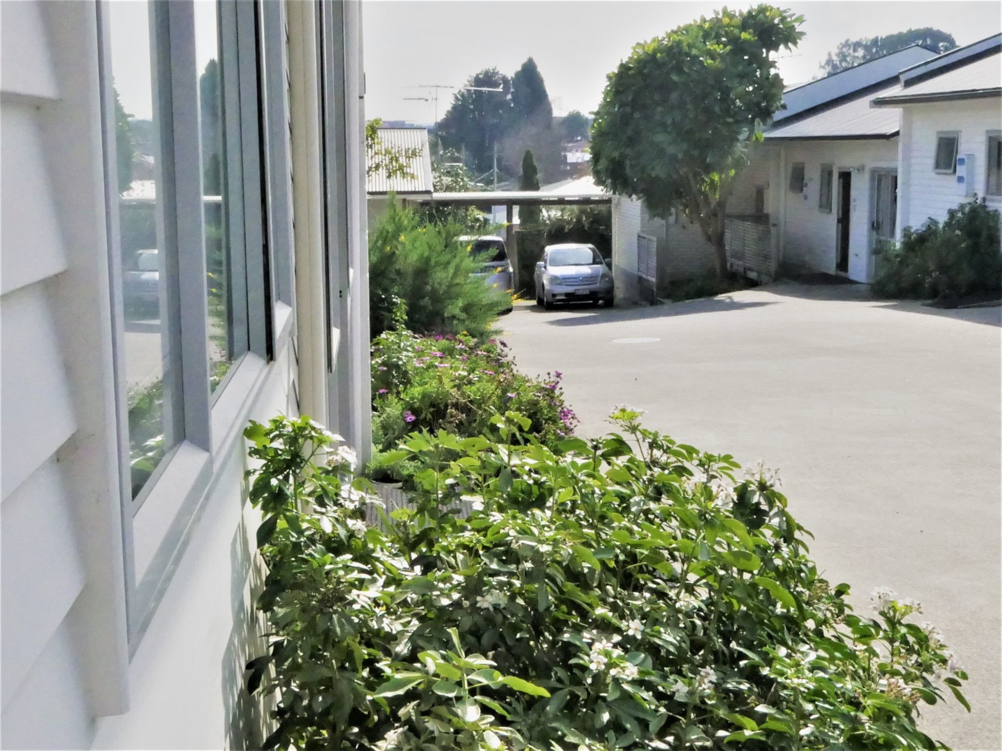 Tui Village Papakura, Auckland Hospital