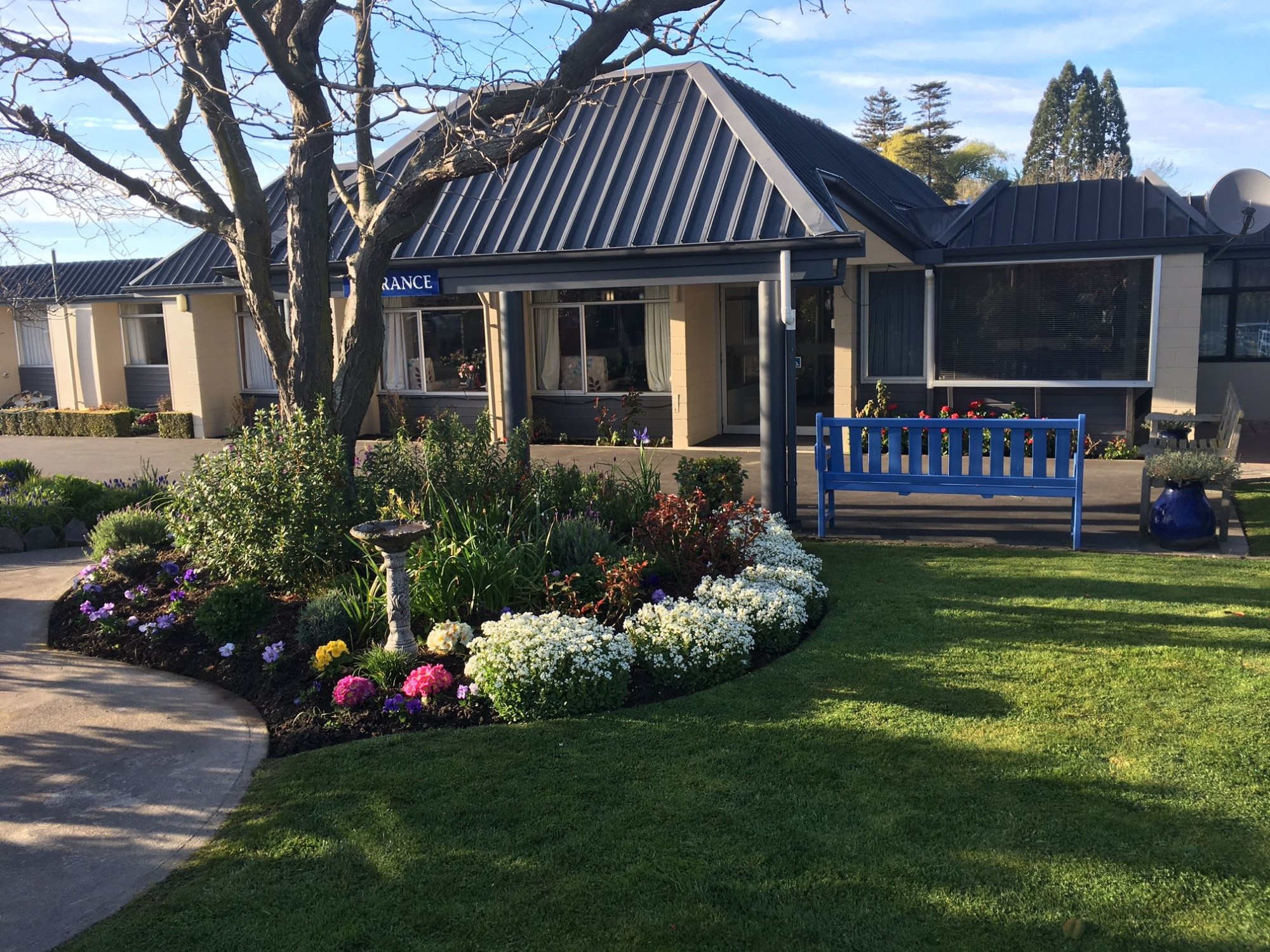 holmwood care home