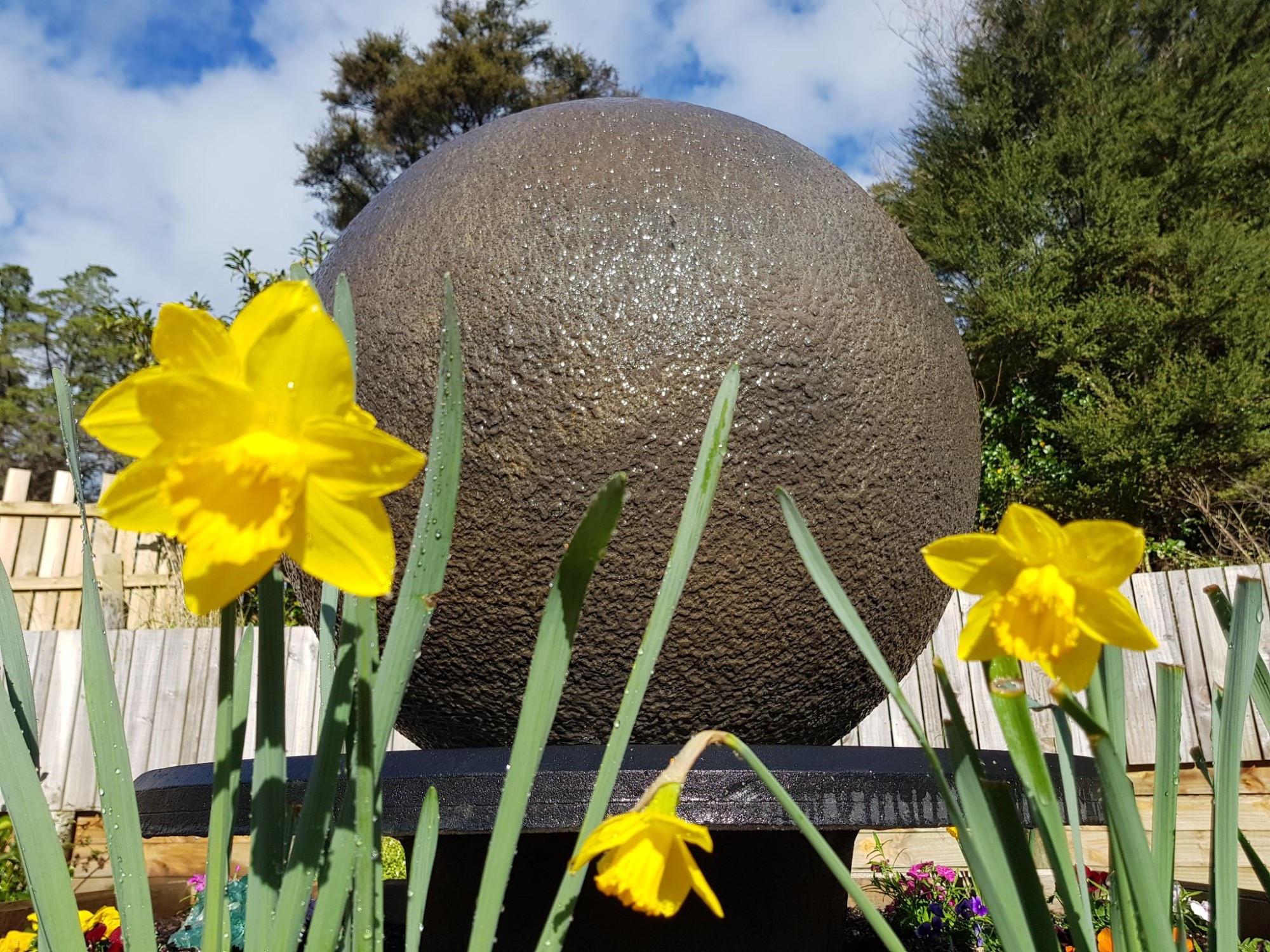 Pinehaven Cottage Orewa, Auckland Dementia