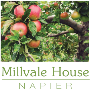 Millvale House Napier logo