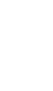 Ara Institute of Canterbury logo