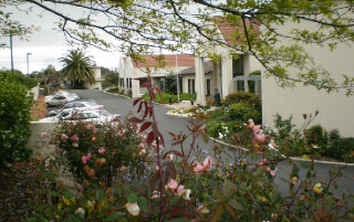 Primary photo of Little Sisters of the Poor