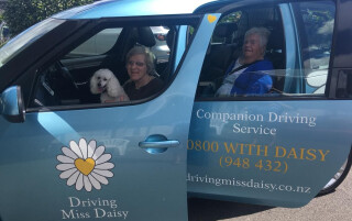 Primary photo of Driving Miss Daisy New Plymouth