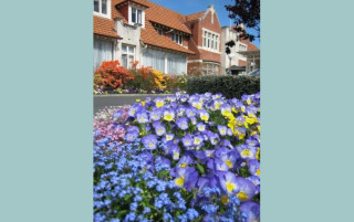 Primary photo of Ross Home (a Presbyterian Support Otago Enliven home)