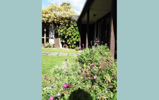 Primary photo of Millvale House Miramar - Dementia Care NZ