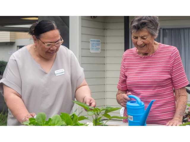 Primary photo of Shalom Court