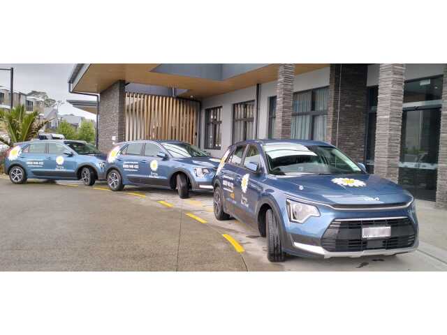 Primary photo of Driving Miss Daisy Hibiscus Coast