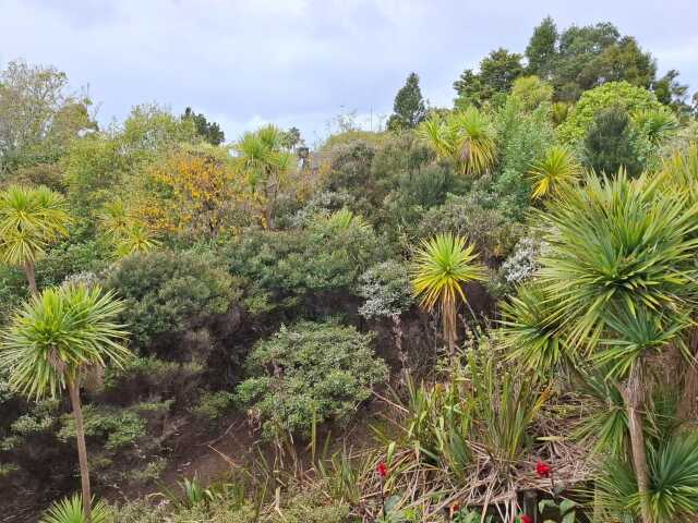 view of available property