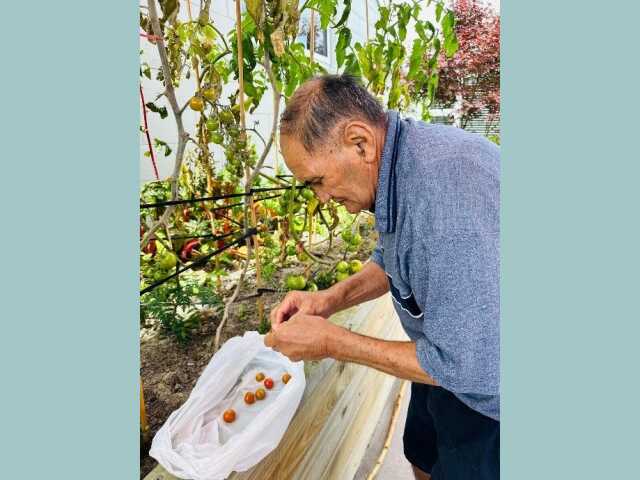 Primary photo of Avonlea Rest Home - Dementia Care NZ