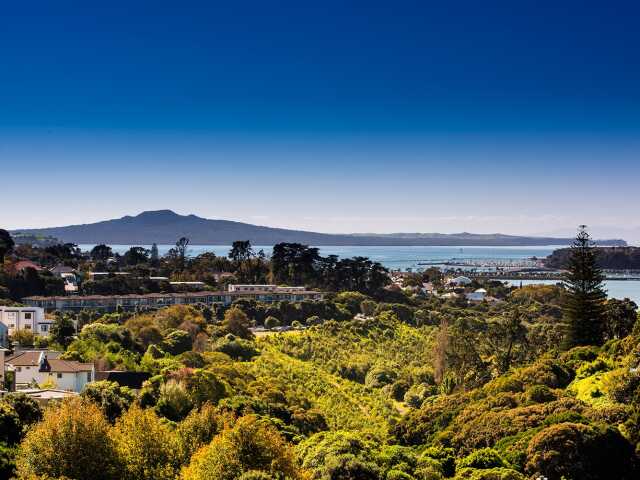 Primary photo of Remuera Rise