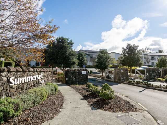 Primary photo of Summerset Falls (Warkworth)