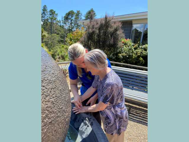 Primary photo of Pinehaven Cottage