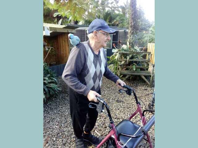 Primary photo of Kaikohe Care