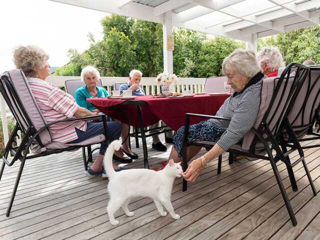 Primary photo of Mountain View Rest Home
