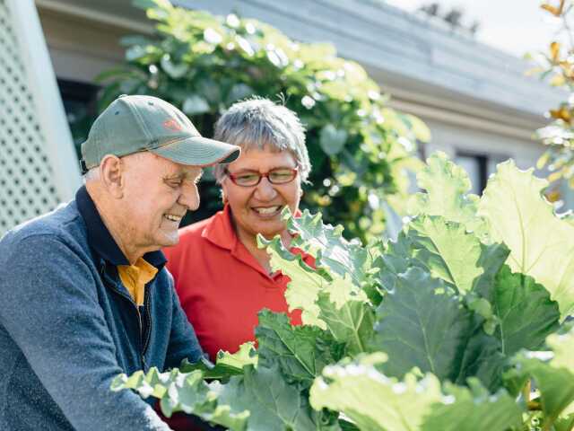 Primary photo of Ellerslie Gardens Lifecare