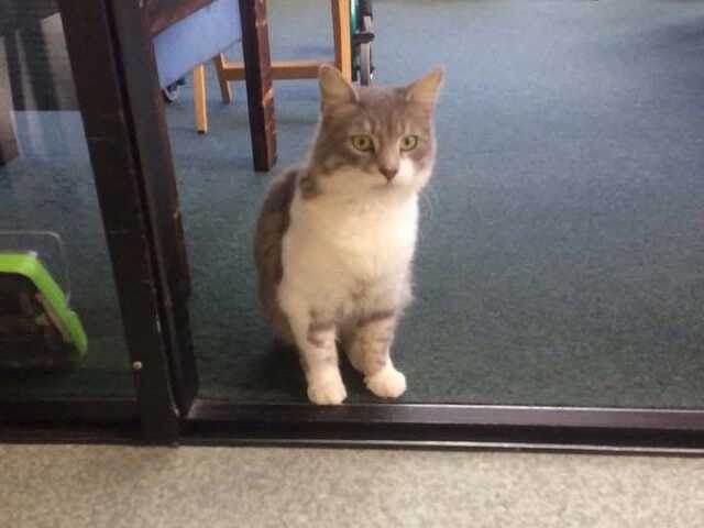 Primary photo of Coronation Lodge Rest Home & Supported Living