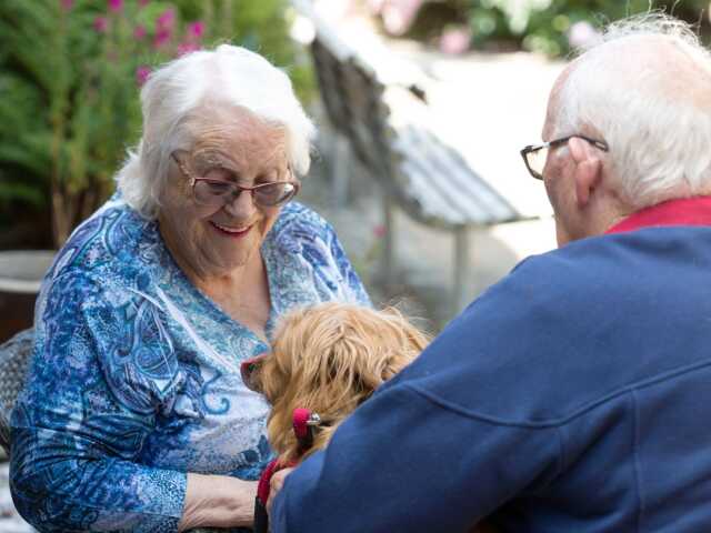 Primary photo of Puriri Court Lifecare