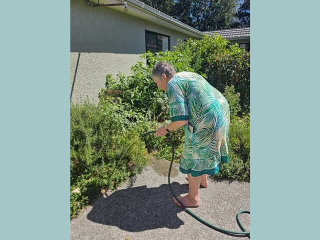Primary photo of Millvale House Waikanae - Dementia Care NZ