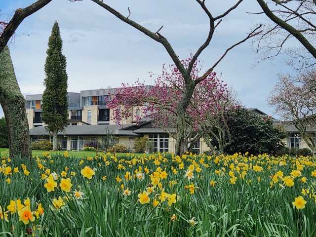 Primary photo of Resthaven on Vogel