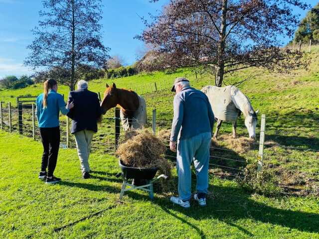 Primary photo of Millvale Lodge Lindale - Dementia Care NZ