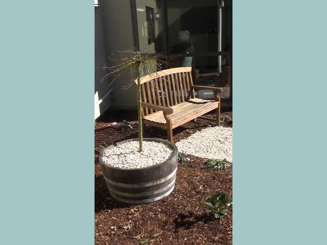 Primary photo of Tasman Dementia Care