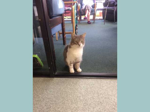 Primary photo of Coronation Lodge Rest Home & Supported Living