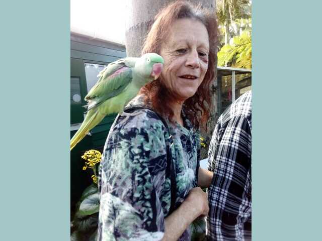 Primary photo of Kaikohe Care