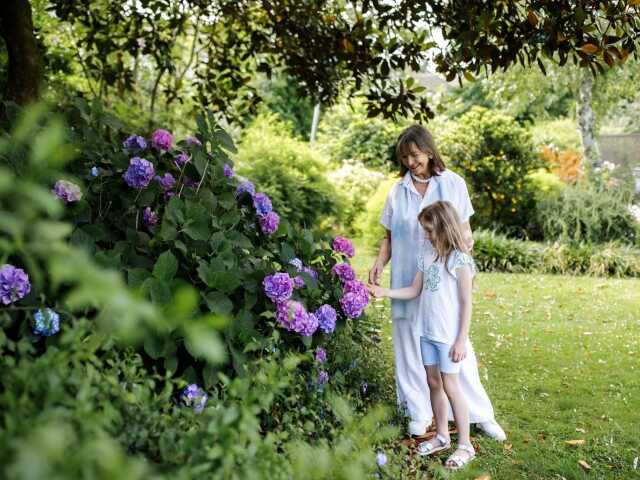 Primary photo of Remuera Gardens