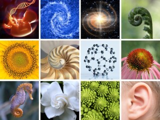 image for what's new at Zepter New Zealand