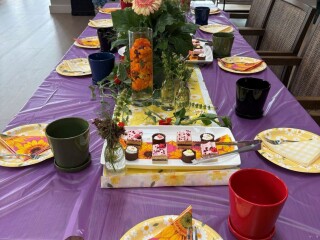 image for what's new at Tamahere Country Club Care Centre