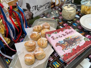 image for what's new at Tamahere Country Club Care Centre