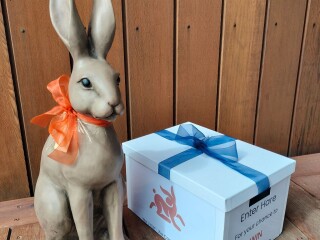 Hare to Help whats new image