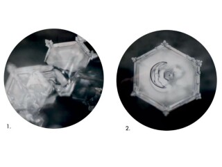 Zepter New Zealand whats new image