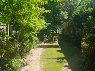 image for what's new at Radius St Allisa