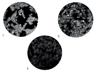 image for what's new at Zepter New Zealand