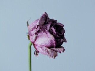 image for what's new at Personal Assistance